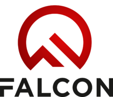 Falcon group