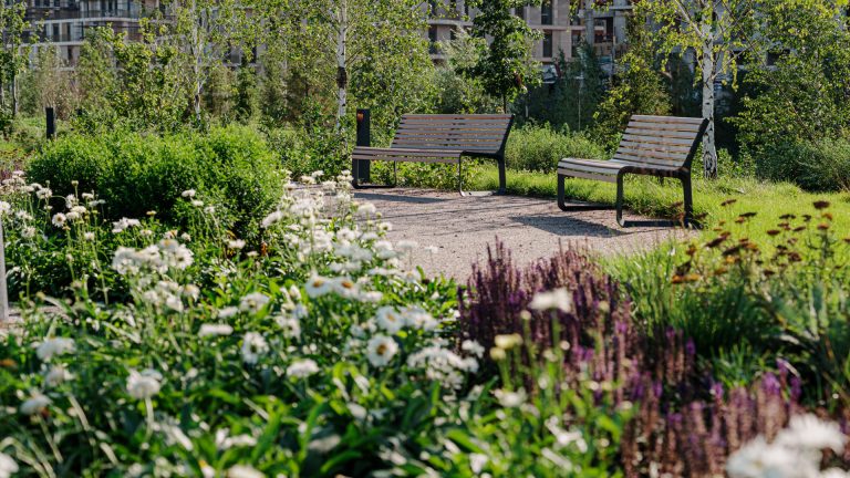 Озеленение_девелоперских_проектов_02_Ландшафтное_проектирование