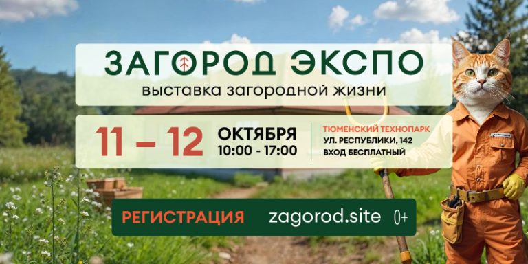 d4dc54d6b3bdac9422fcc504c5bd323b_user_pic-1