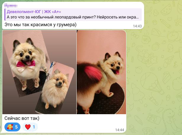 Примеры повседневной коммуникации с пользователями